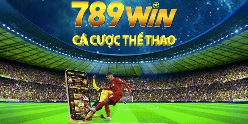 789win cá cược thể thao hấp dẫn